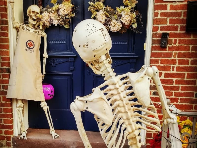 Two skeletal figures pose on a brick porch decorated with fall foliage. Two skeletal figures pose on a brick porch decorated with fall foliage.