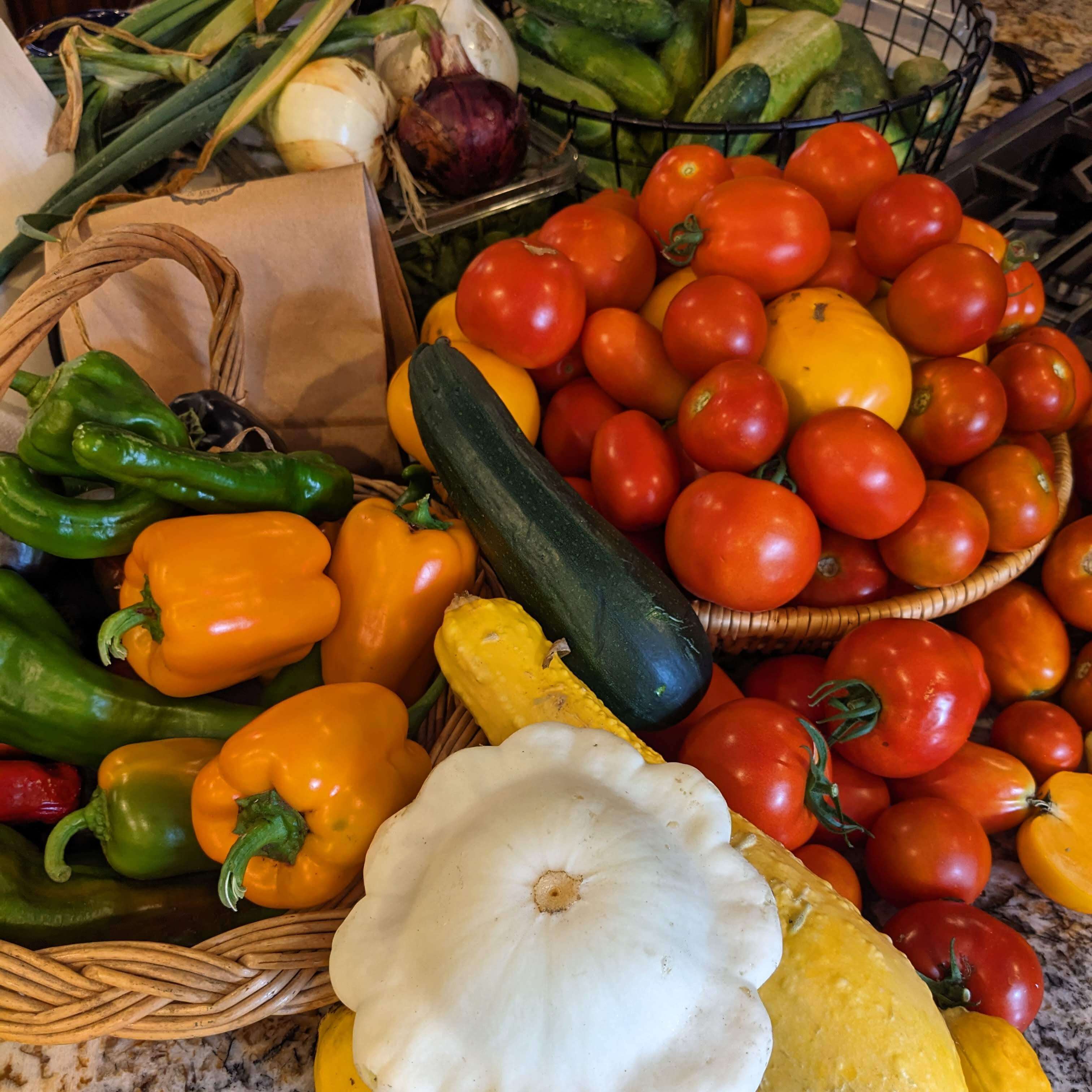 An assortment of colorful vegetables, including tomatoes, peppers, zucchini, and squash, displayed on a countertop.