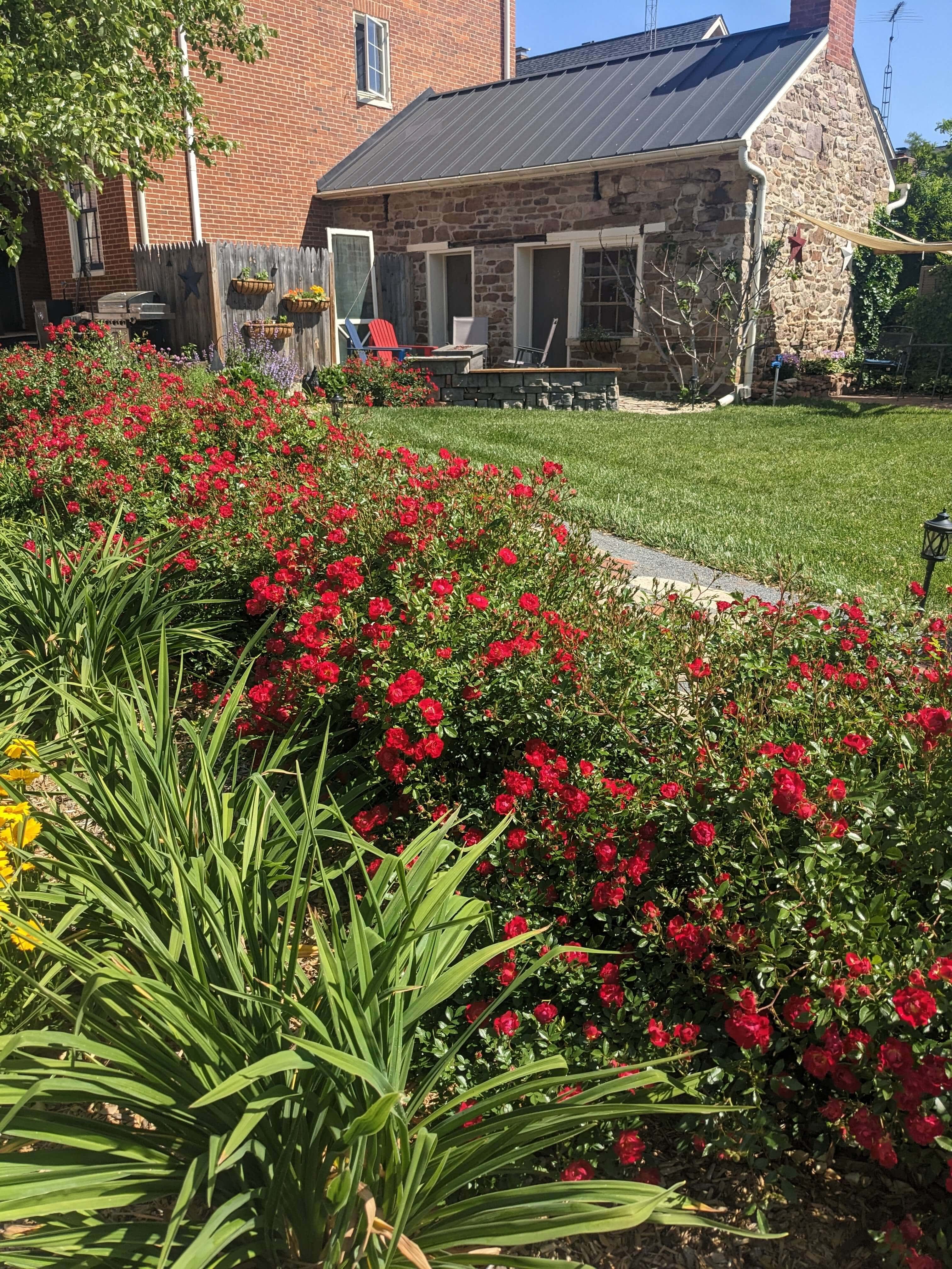 A flower bed with bright red blooms fronts a stone house and green lawn under a clear blue sky.