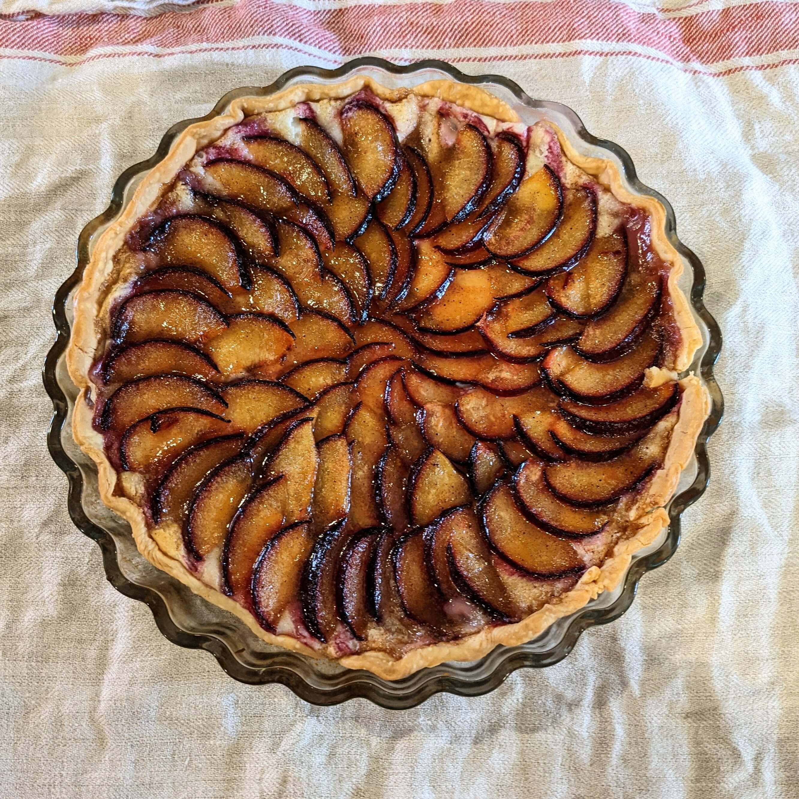 A beautifully arranged plum tart in a glass pie dish, sitting on a textured cloth.