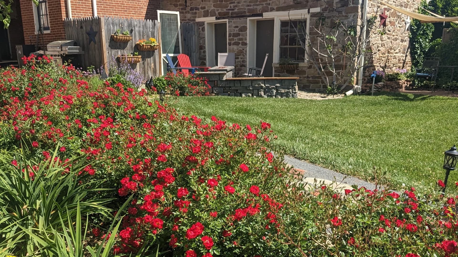 A lush garden with vibrant red flowers in the foreground and a stone house in the background.